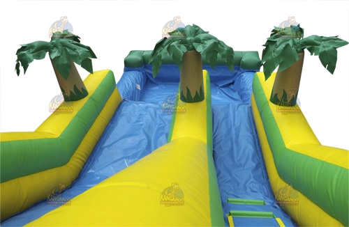 Hawaiian Palm Water Slide